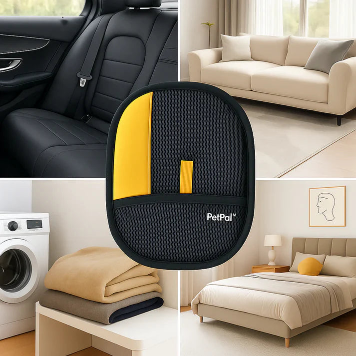 🐾 PetPal™ - El guante de limpieza para mascotas 2X1 más vendido + Aromatizante en gota