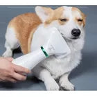 Secador de Mascota 2 En 1